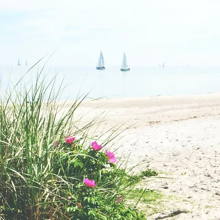 Apartament Tranquil With Garden *